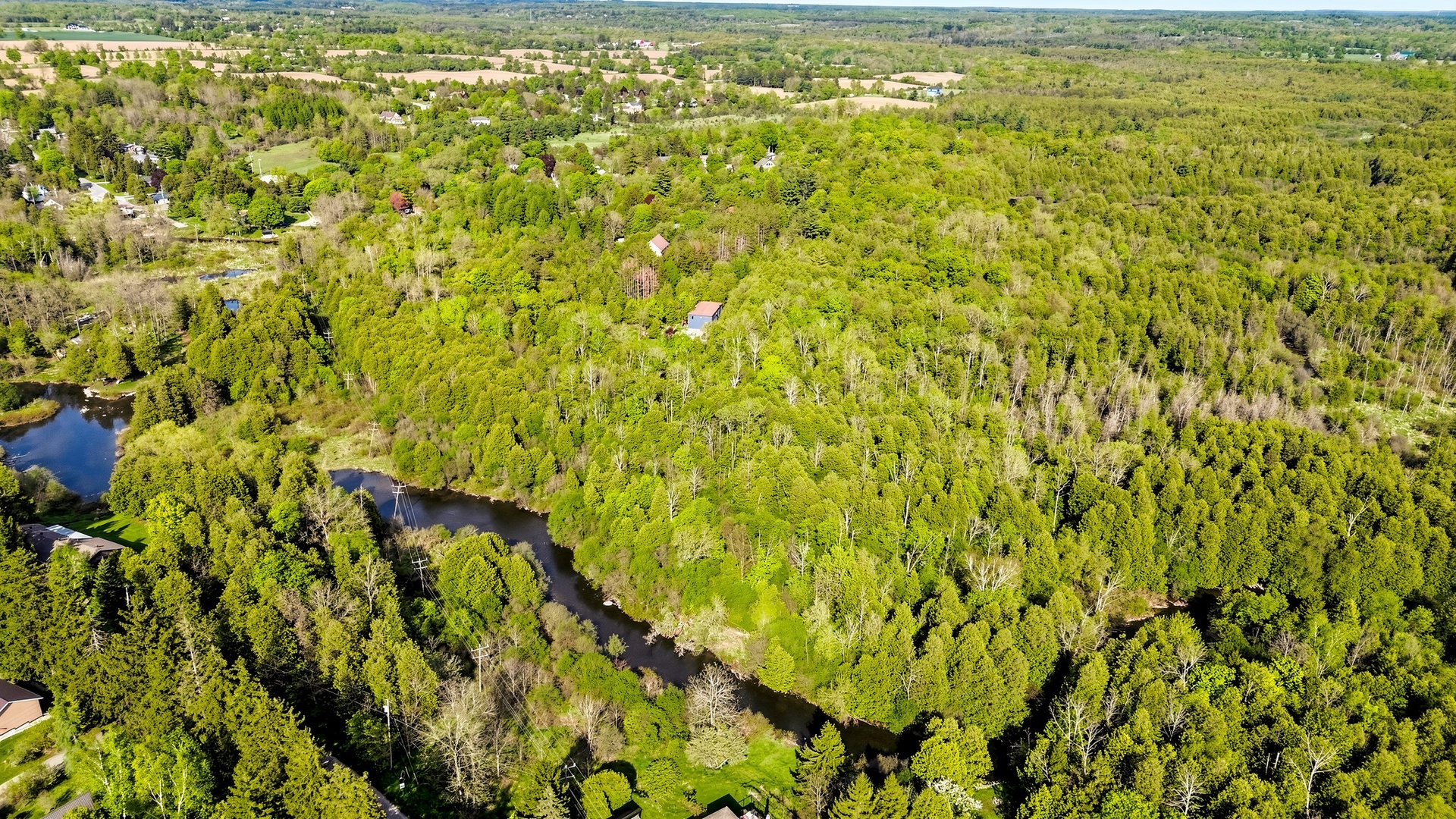 Aerial of a 13.58-acre forested property in Ontario