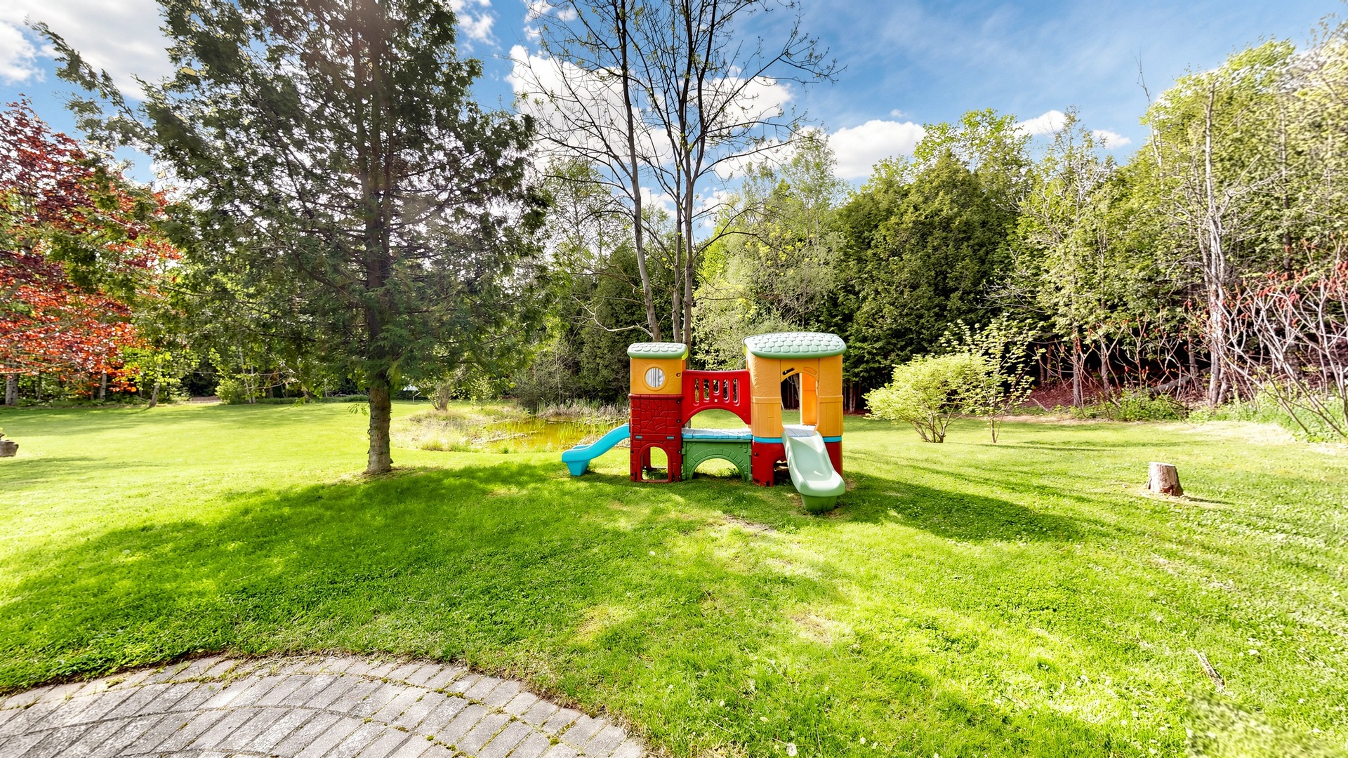 Yard suited to a backyard chicken coop