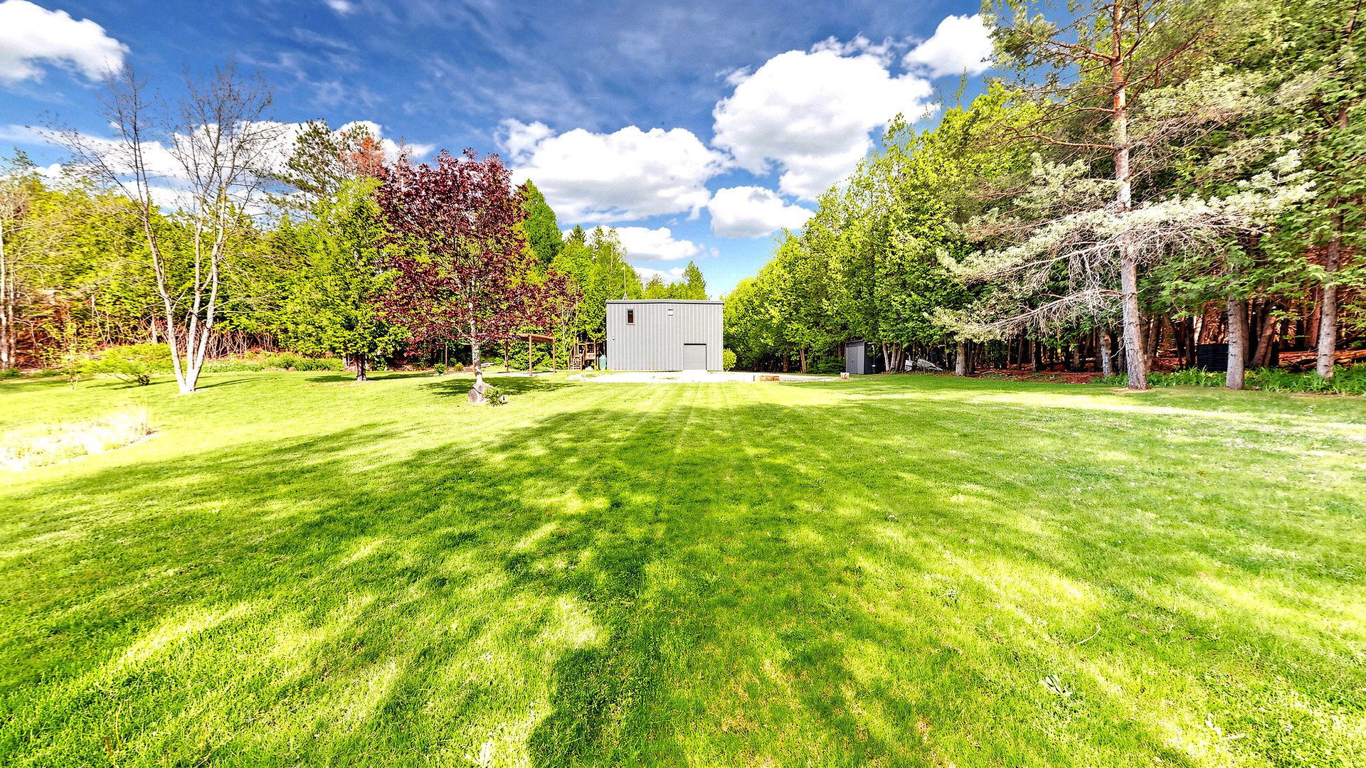 Open clearing on forested acreage, ideal for building a custom country home