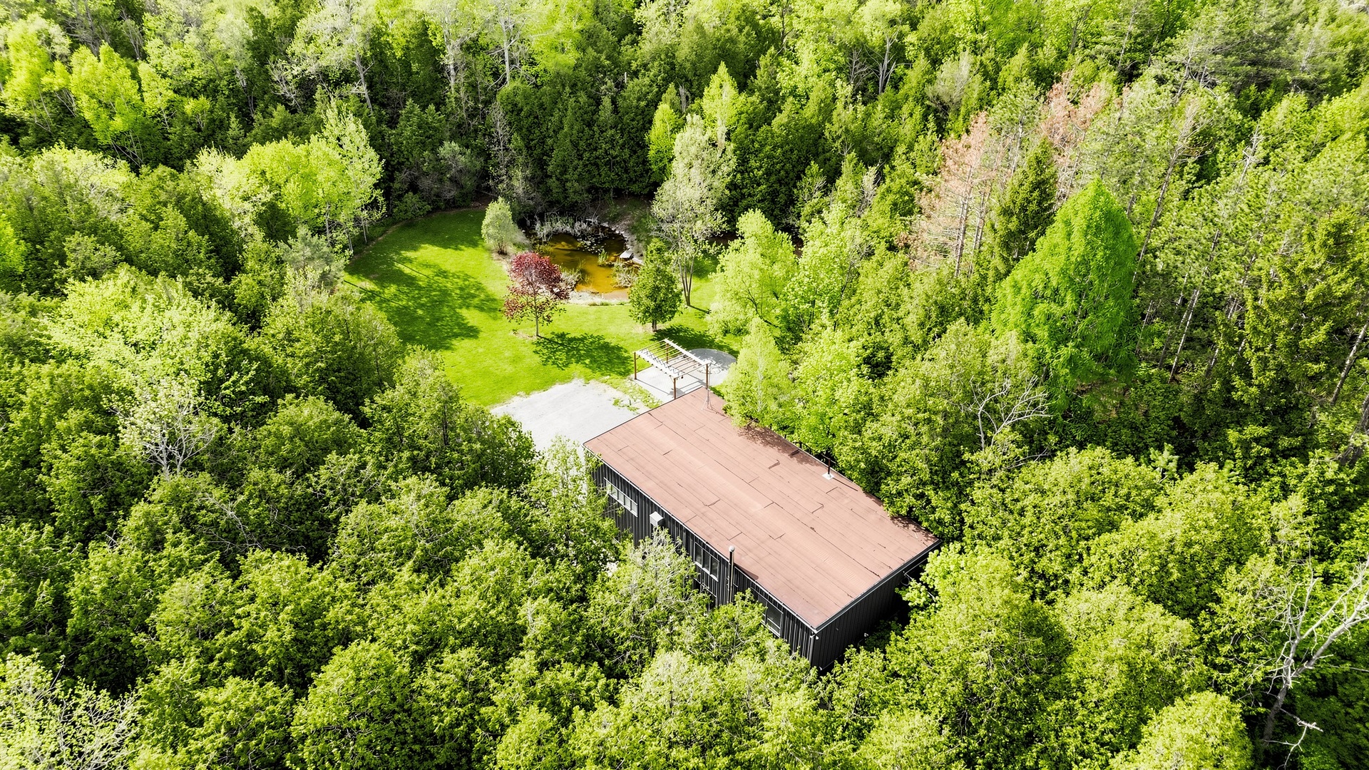 The bank of the Eramosa River beneath overhanging cedars