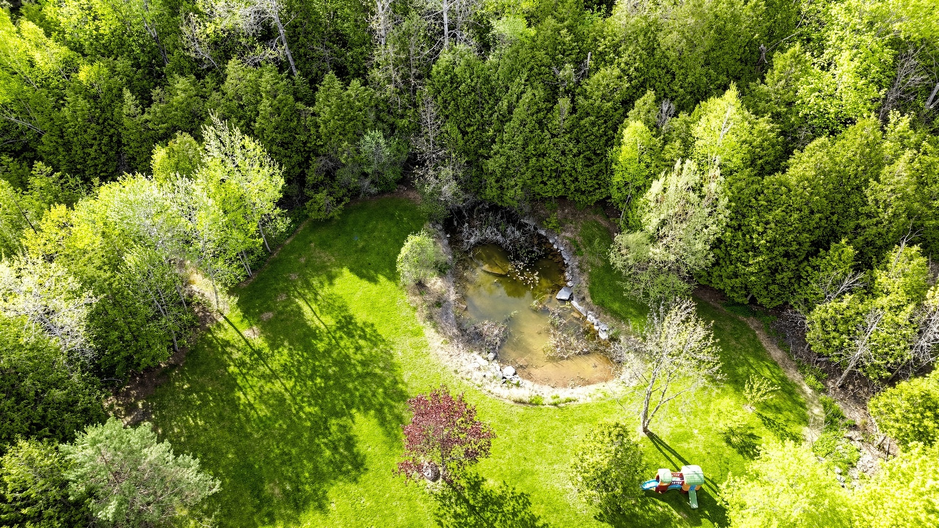 A spring-fed pond and creek feeding cold water into the Eramosa River system
